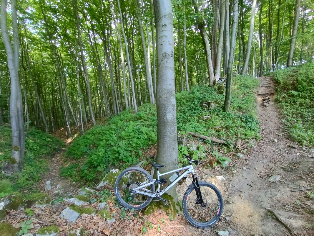 IMG-20250706-122721542-HDR.jpg
