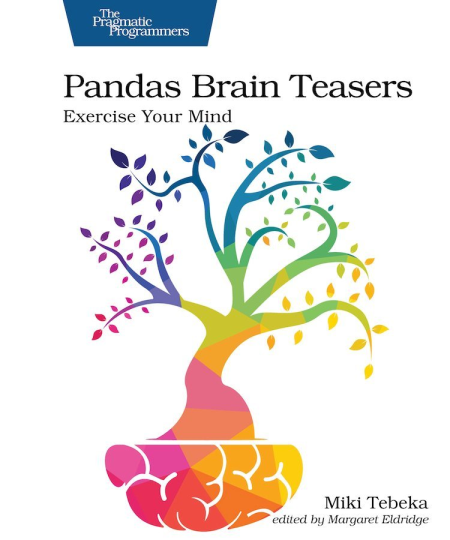 Pandas Brain Teasers: Exercise Your Mind (True PDF)