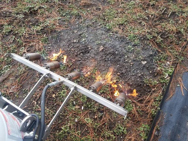 Burning Bermuda in the Spring | Lawn Care Forum