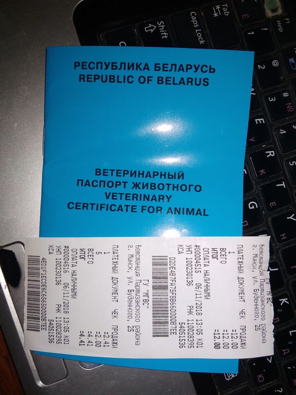 vetpasport Miry i chek