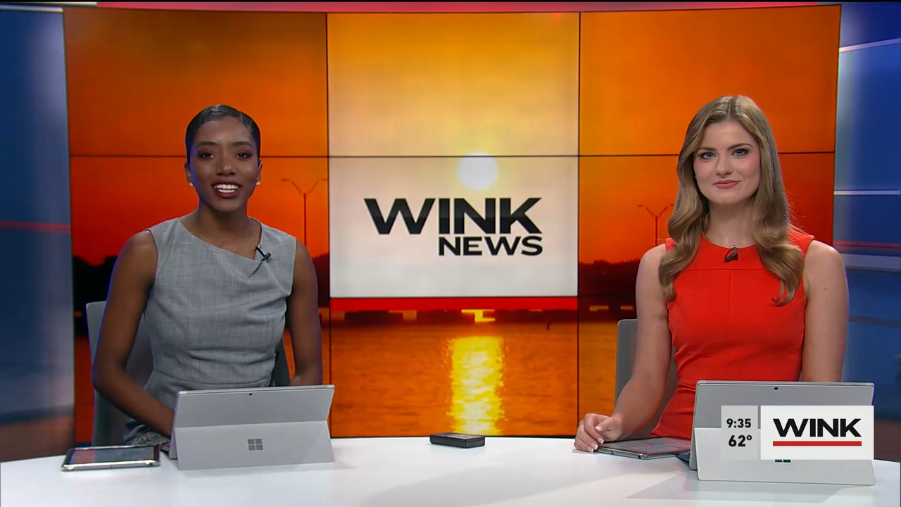 02.04 - 14.00.00 - WINK News at 9 00AM  ᴺᵉʷ. Morning news.ts_snapshot_00.41.26.250