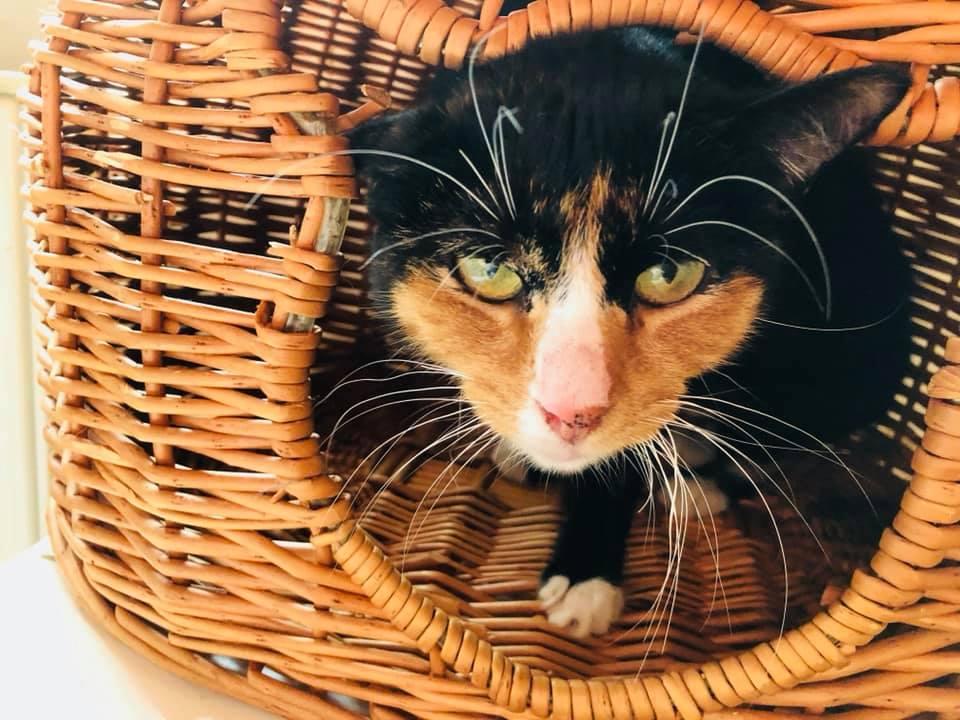 Абрау Дюрсо1