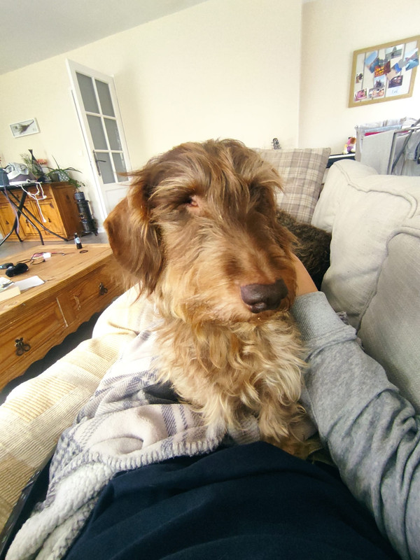 [Image: IMG-20240310-WA0013.jpg]