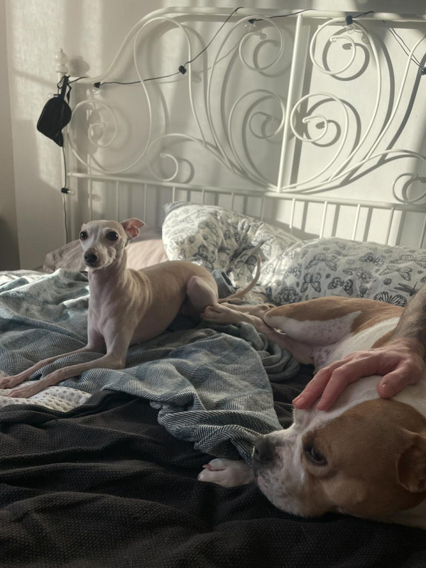 25946BC5-9177-48A5-8127-DFC7052E3B64