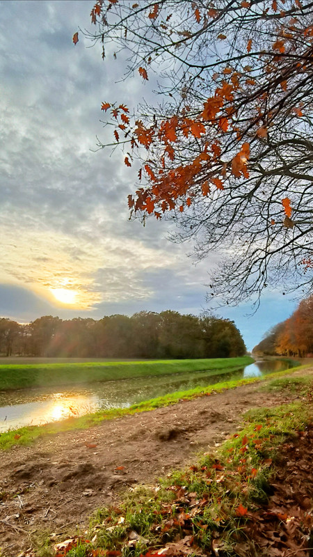 Lumii 20251104 154813739