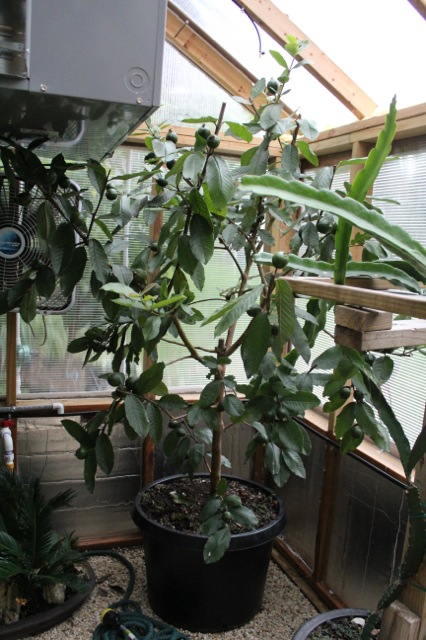 photo 4(4)