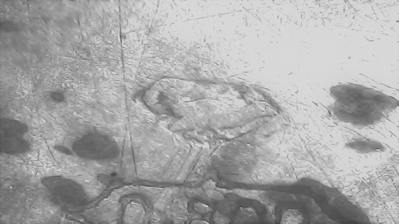 20210909_1640_008_0.000