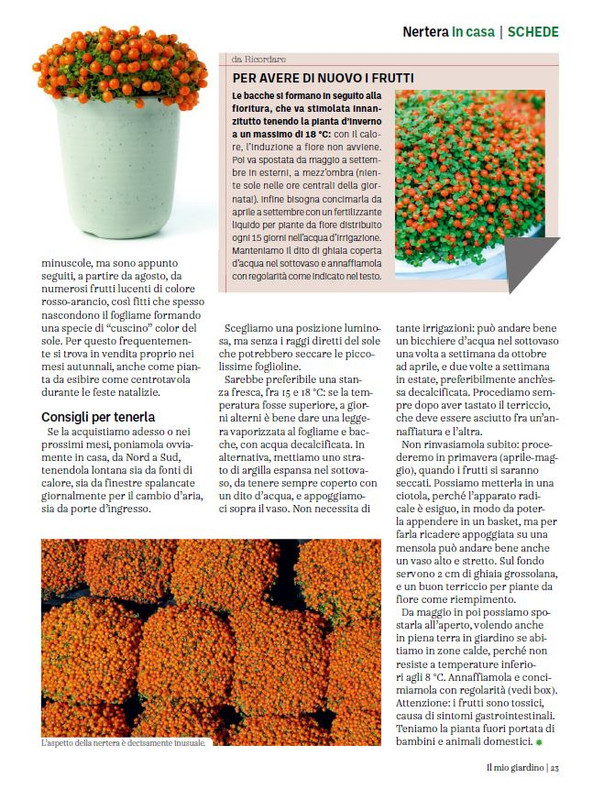 Il Mio Giar Ott-Nov 2023 (4)