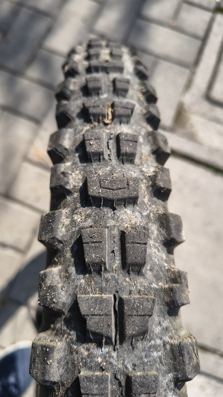 IMG-20261015-123813883-HDR.jpg