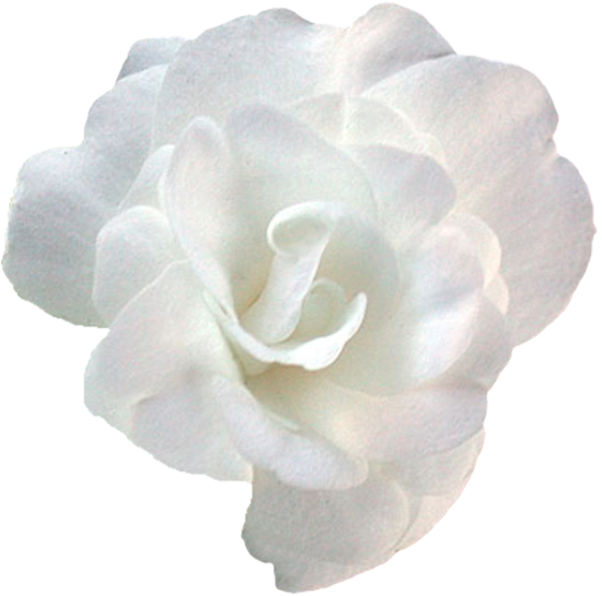 Mariposa_Kit_23