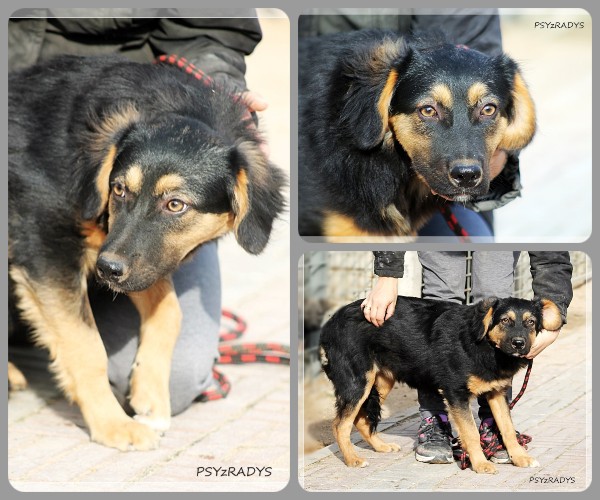 BeFunky-collage (17)