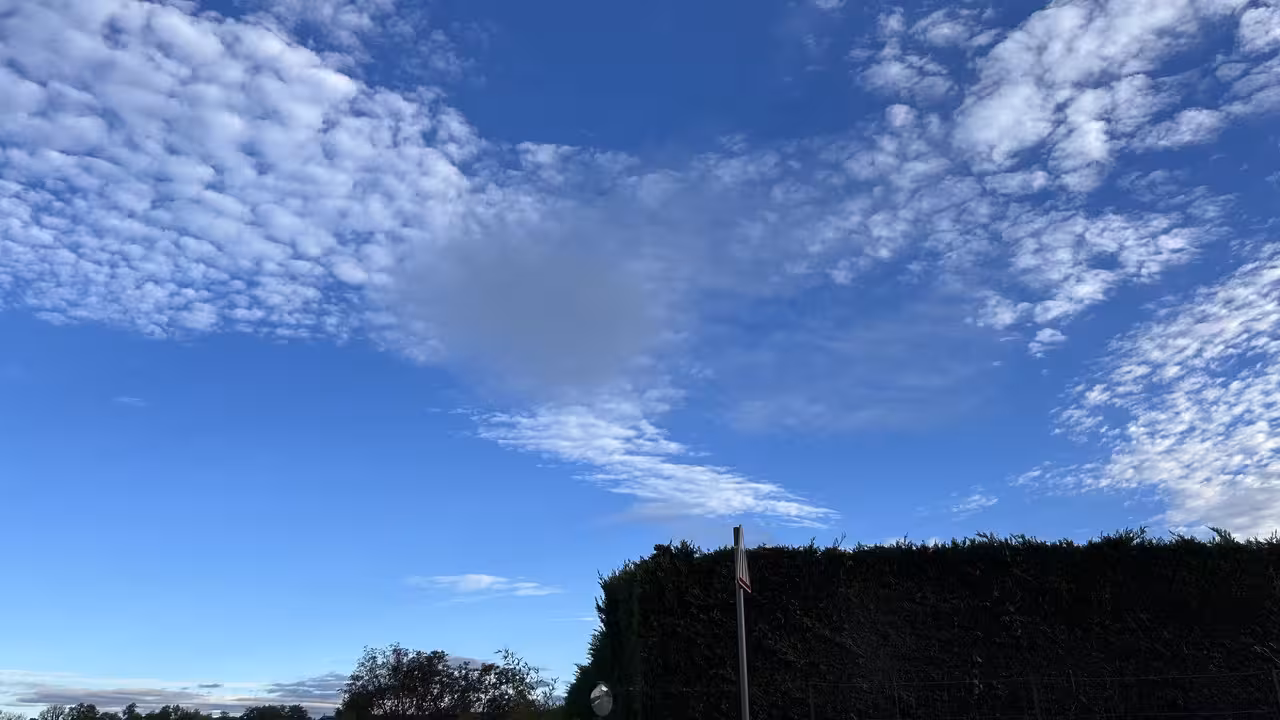 temp-Image-UZX3-EN.avif