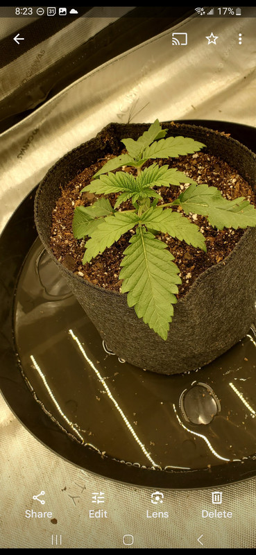 Screenshot_20240115_202320_Photos