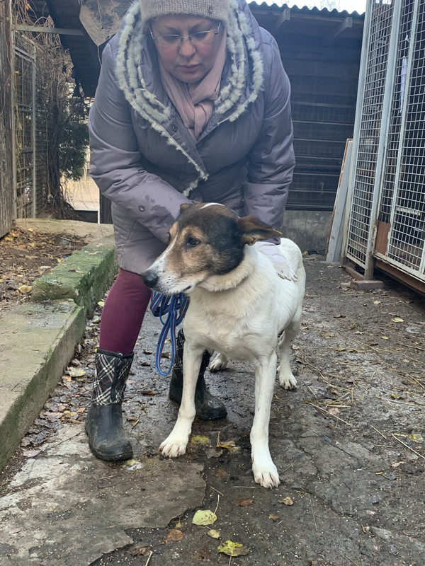 6365D6CC-B0CD-46DF-9E19-3CBEF7ECF254