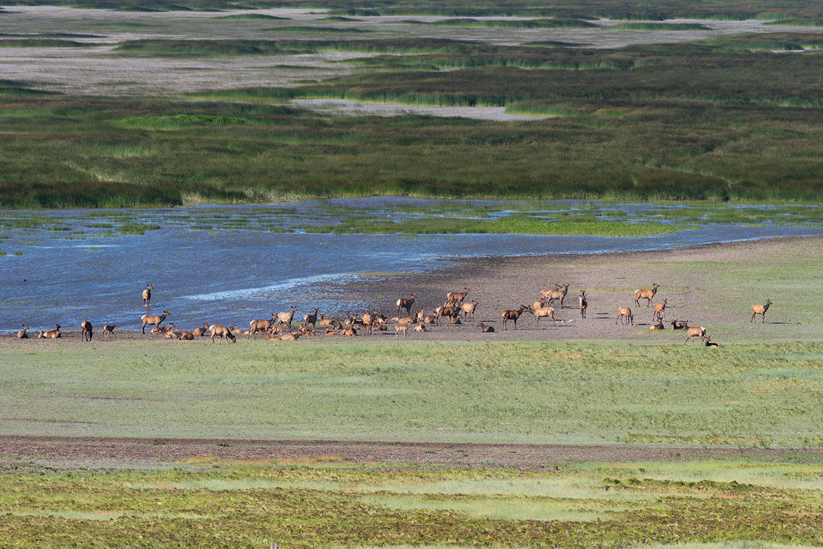 Ed1400MormonLake7-2-19_0098