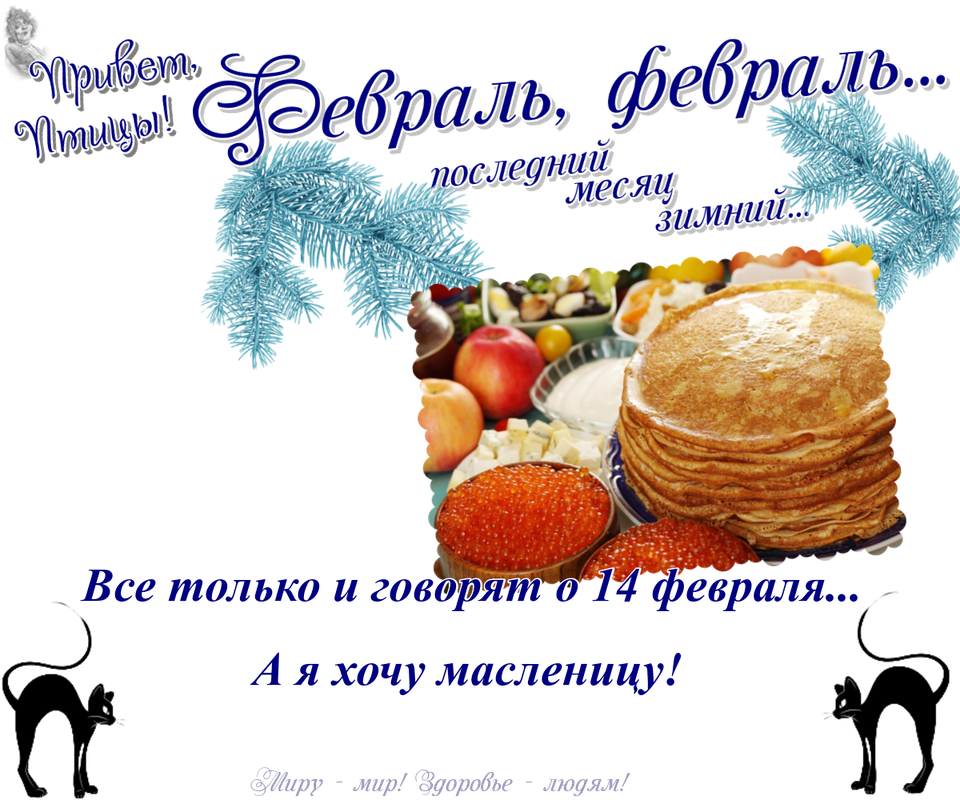 https://i.postimg.cc/hGtK7zVf/12-02.png
