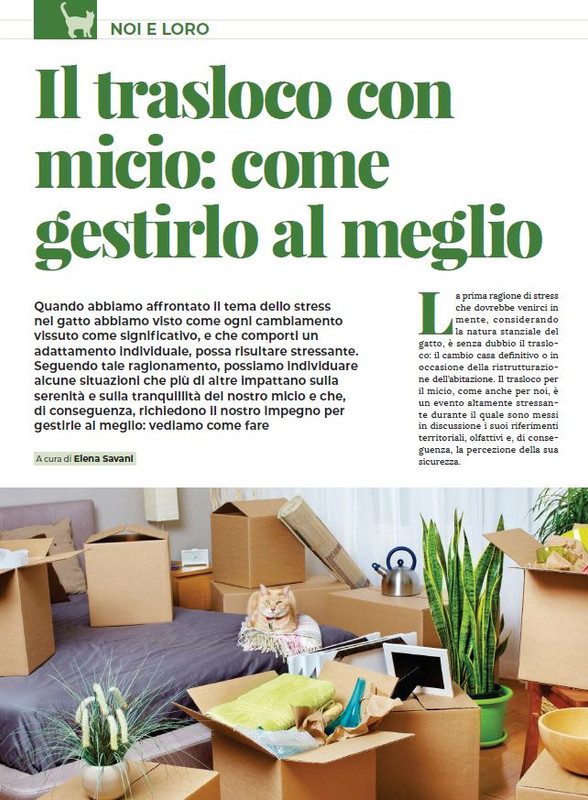 Ga Ma Dic 2022-Gen 2023 (1)