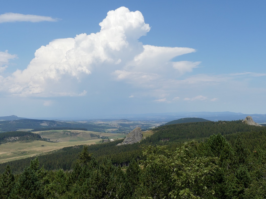 P1090247.jpg