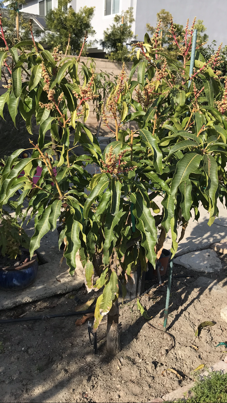 DE355BA0-9C6D-4C71-9AC3-FE09C78CCB54