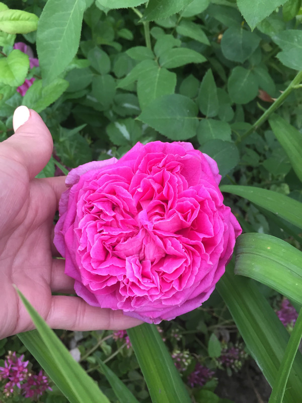 C63C4AF9-17F8-4D33-BE96-65F6ED61205F