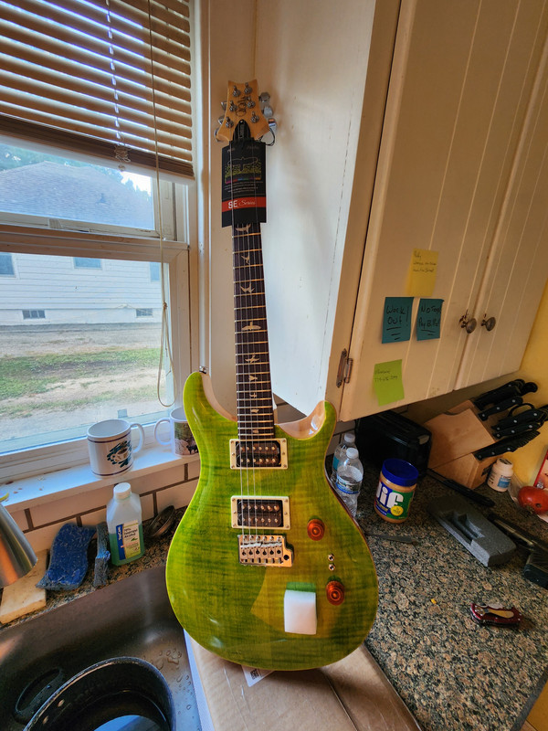 PRS SE EG, SE 24-8 custom pickup upgrade | Official PRS
