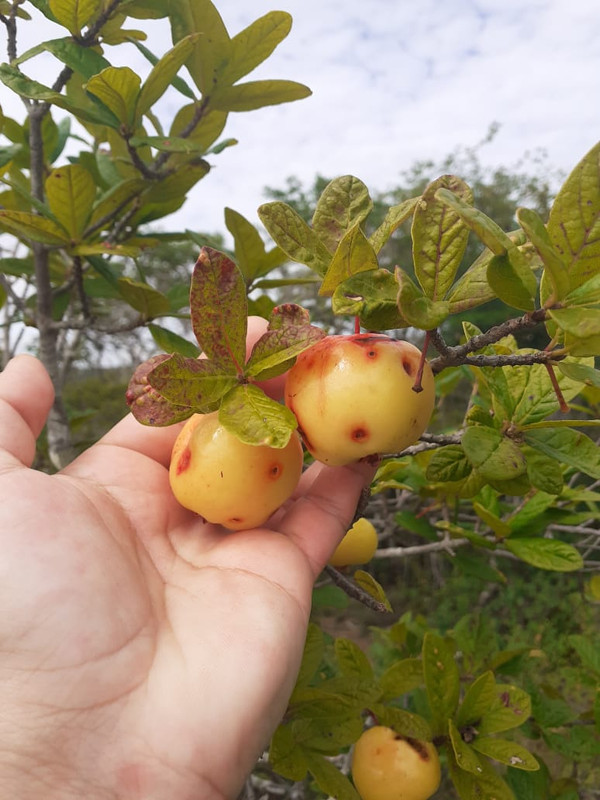 WhatsApp Image 2020-12-08 at 20.44.46 (14)