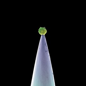 Re: Peter Gabriel