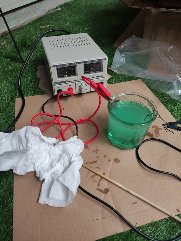 217392351_890499904877495_3331411942314073763_n