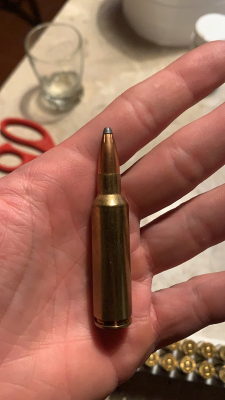 0D2545D8-3FAB-44C0-9664-7533CC7159D8