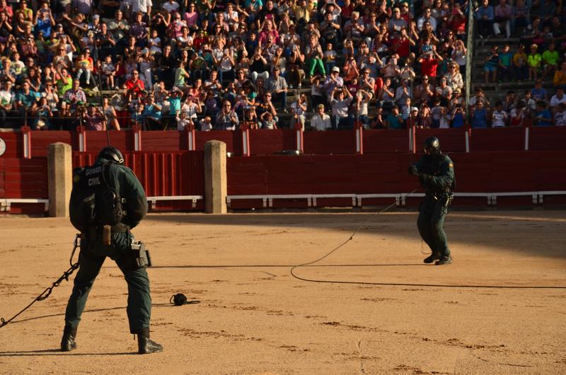 Exhibición Guardia Civil-30-9-2016 - Toledo y sus pueblos-1996/2026 (29)