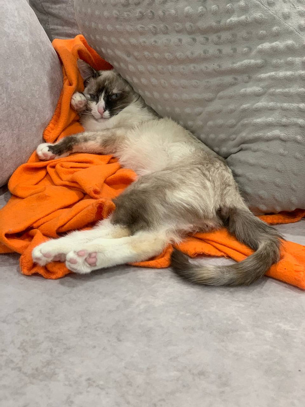 9B0DAF4D-E7CE-4262-A5D9-56BDC55229FF