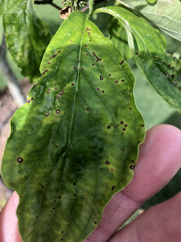 52355C54-C7F1-4B69-914E-5CE9AE73075A