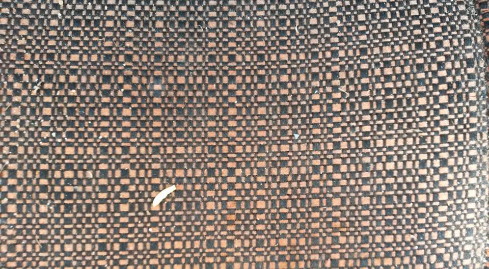 11140315_996679867008896_5824377221286556634_n