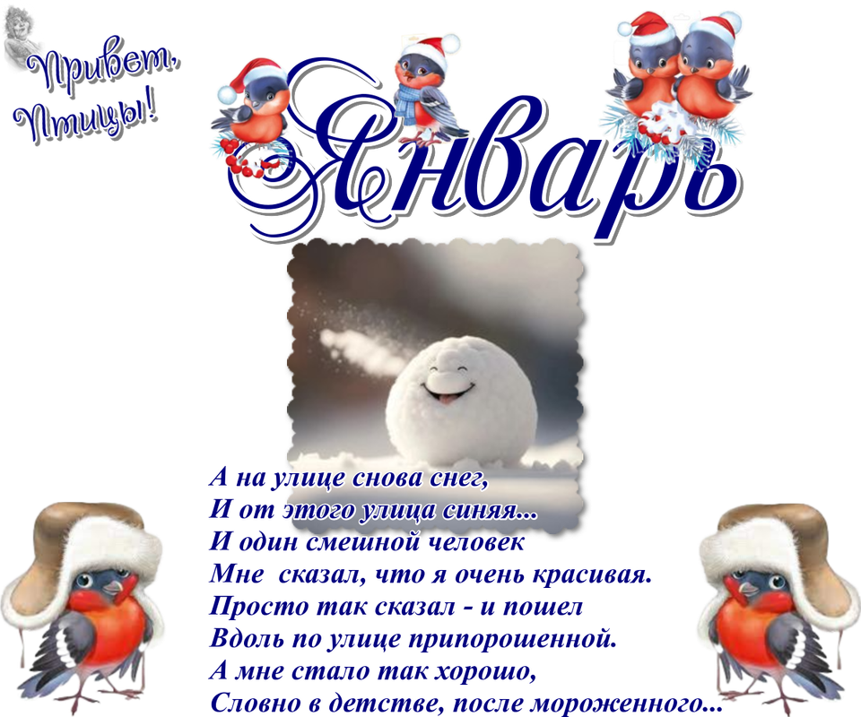https://i.postimg.cc/hGw116Mc/03-01.png