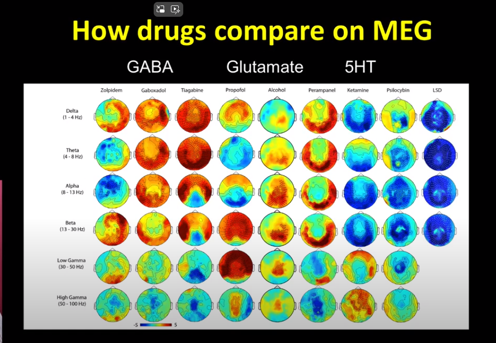 meg results lsd