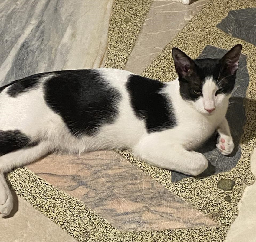 εικόνα_Viber_2024-01-21_15-57-57-195