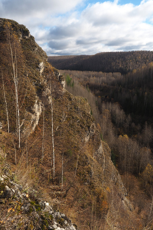 PA061928.jpg