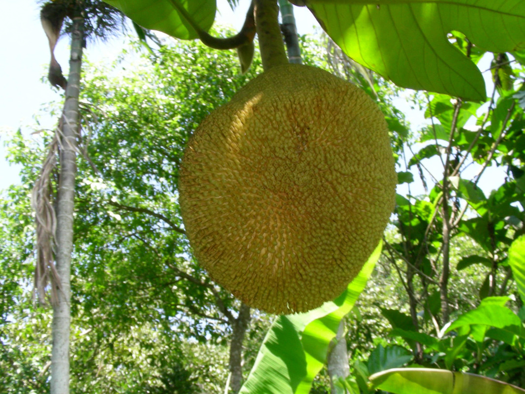 DSCN3751