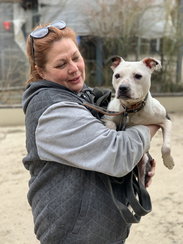 3B80108E-0AD8-426A-B51C-C2C20EB6397F