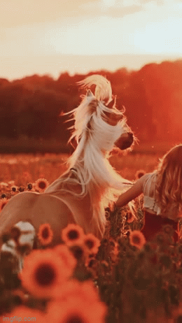 ���� ���� ������ �� ���� ������