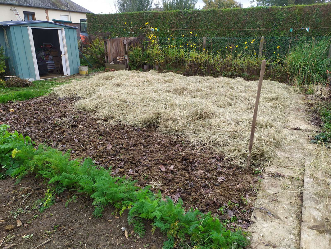 CAMPAGNE - le petit potager du Vexin Normand IMG-20221020-115119