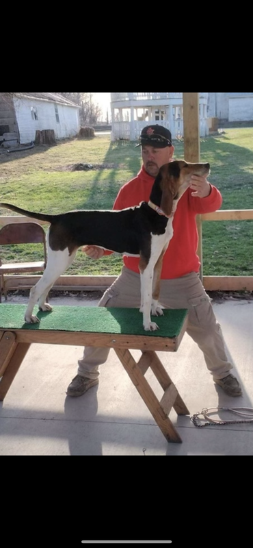 BEC86802-3B2D-4279-8D79-497C78DC3135