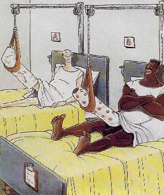 гениталь дед