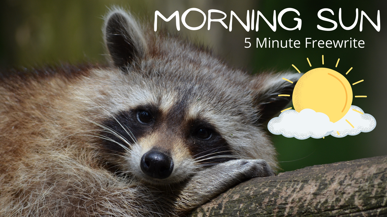 Morning-Sun.png