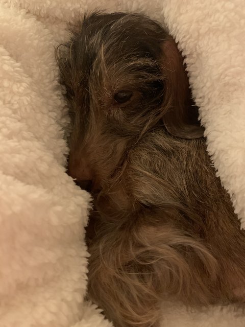 [Image: B083-F5-D9-3806-4-EAB-8-F13-24-FF877-CB746.jpg]