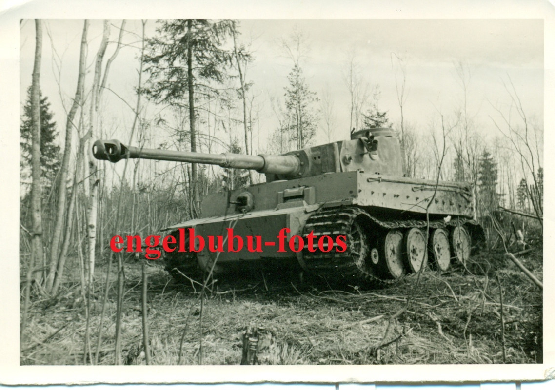 $T2eC16FHJIQFHGwrCTKCBSOw4Cvd3Q~~60_10