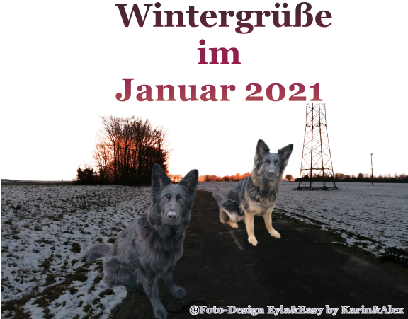 An den Beitrag angehängtes Bild: https://i.postimg.cc/hGy1RrLn/Wintergr-e-im-Januar-2021.png