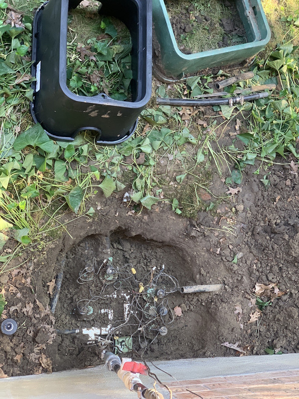 61988036052__4D2FFB5C-EDD4-439F-BCD5-3C9804786E57