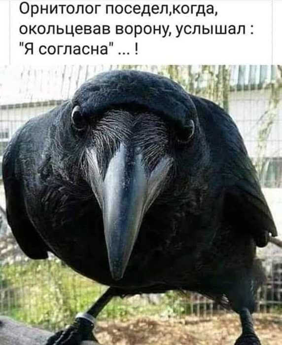 загружено