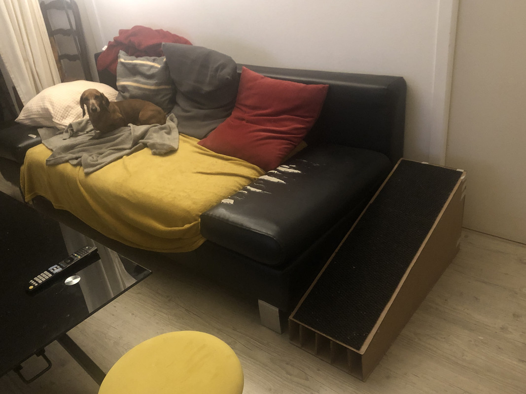 [Image: IMG-2892.jpg]